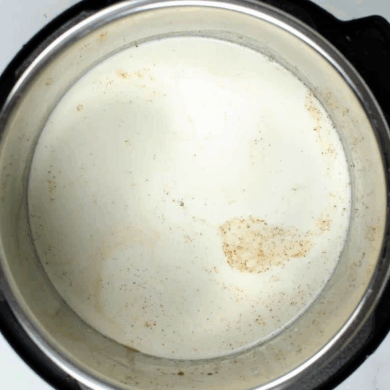 Combine ingredients: Arborio rice, condensed milk, milk, water, vanilla, cinnamon, and salt mixed in the Instant Pot