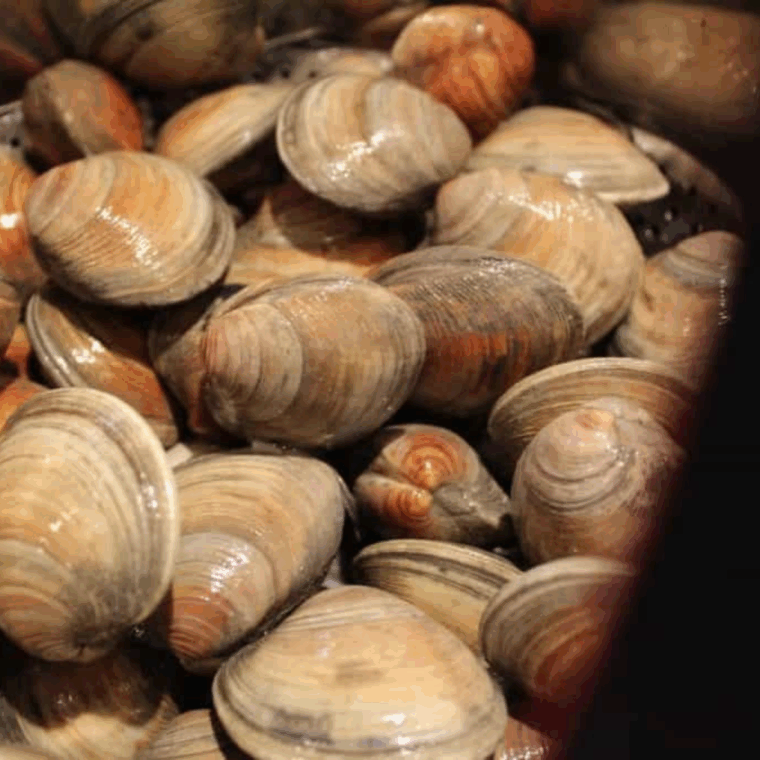 Placing clams in the Instant Pot steamer basket, cooking on high pressure for 4 minutes with quick release.
