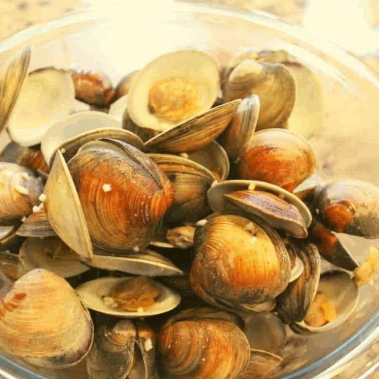 Tender steamed clams cooked in the Instant Pot with garlic, butter, and white wine, served in a bowl.