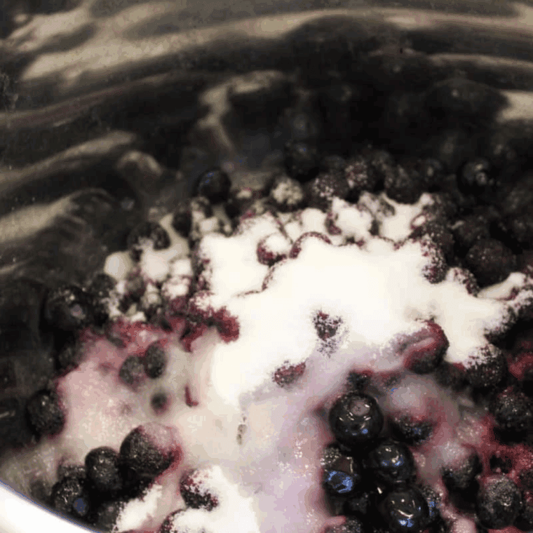 Blueberries, sugar, and lemon juice added to Instant Pot and mixed.