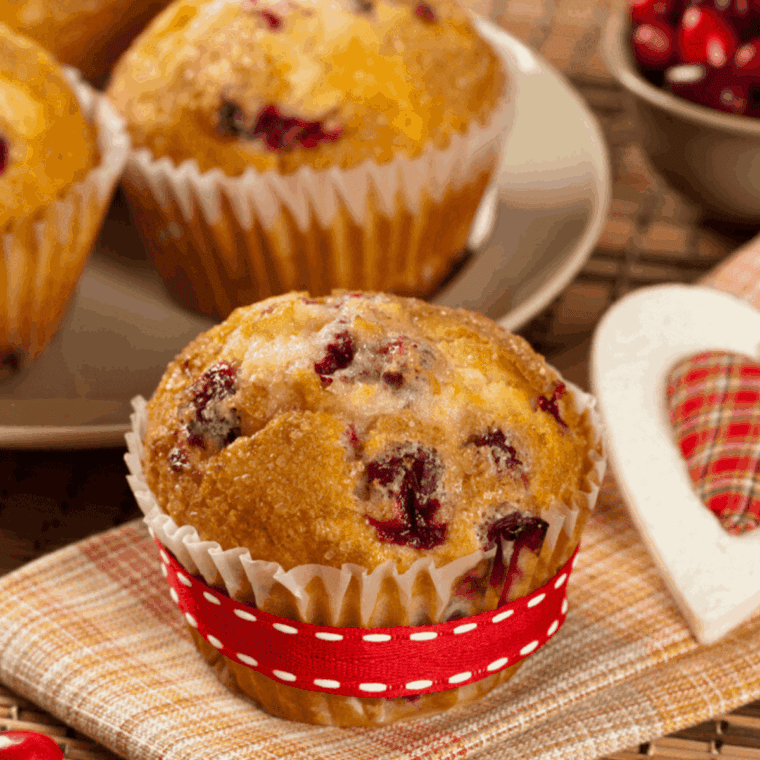 Air Fryer Cranberry Muffins
