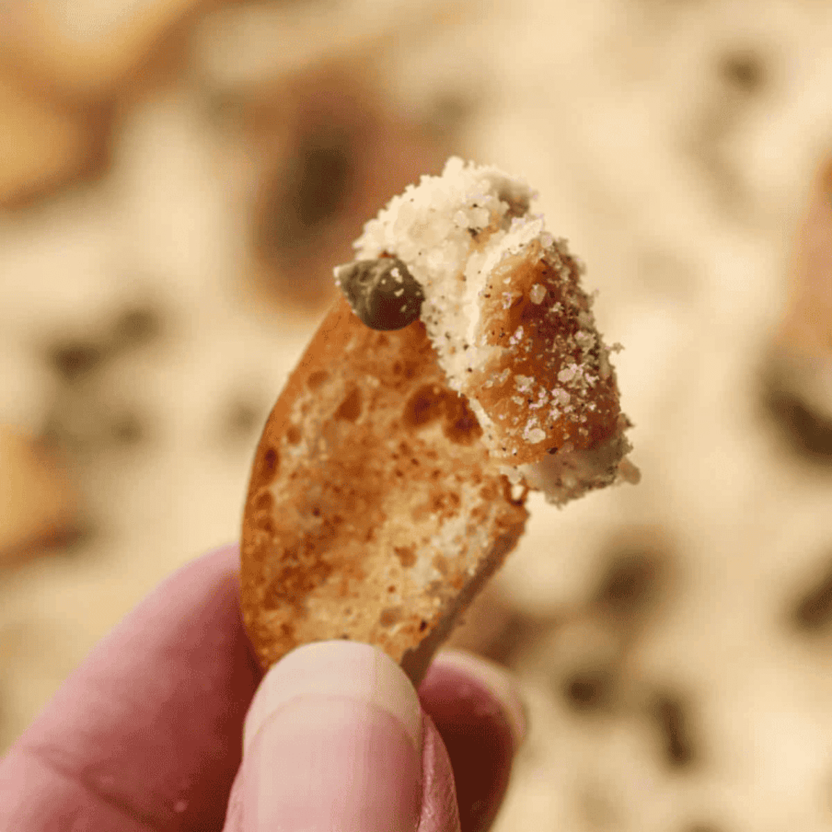 Crispy Easy Air Fryer Everything Bagel Chips seasoned with everything bagel spice, ready to serve.