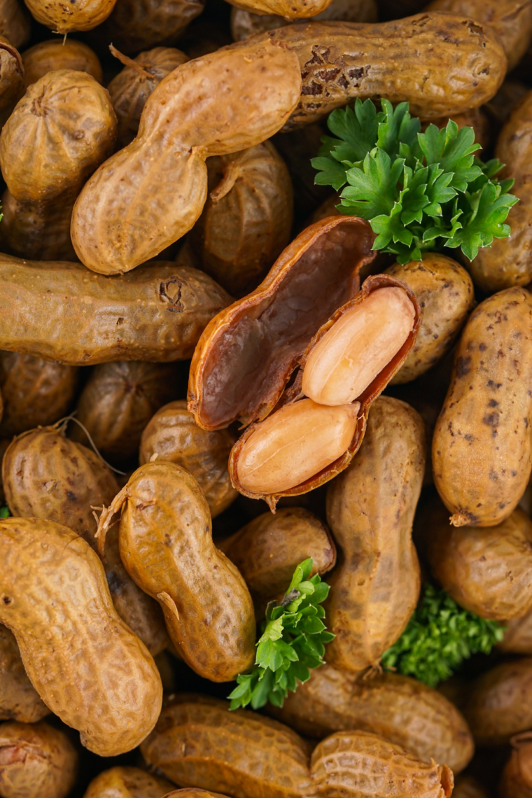 Golden roasted peanuts in the shell fresh from the air fryer, served in a bowl.