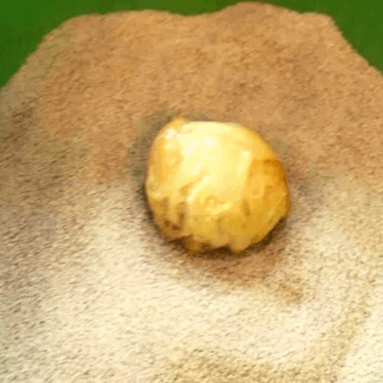 Roll the dough into the cinnamon sugar mixture.