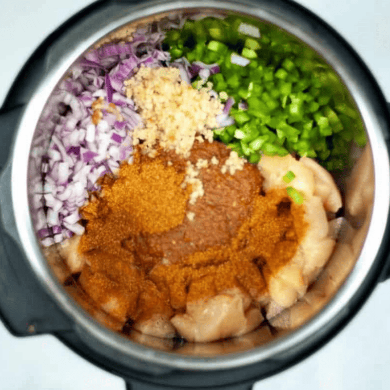Diced chicken, onion, garlic, and salsa in the Instant Pot before pressure cooking.