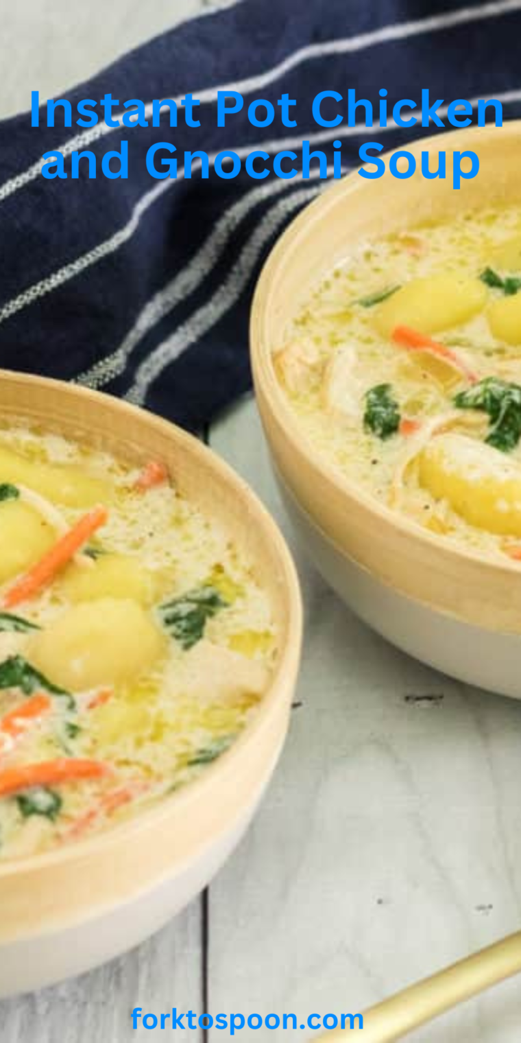 Instant Pot Chicken and Gnocchi Soup