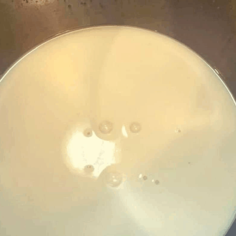 yeast, warm milk, and honey mixed in bowl foaming after 15 minutes