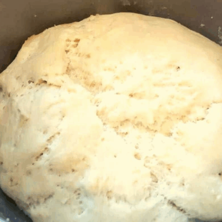 dough kneaded, covered with kitchen towel, resting to double in size