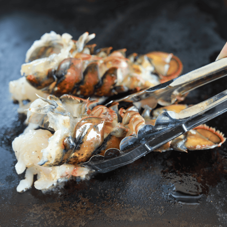 Steaming lobster tails cooking beneath a melting dome on a Blackstone Griddle with added water for moisture.
