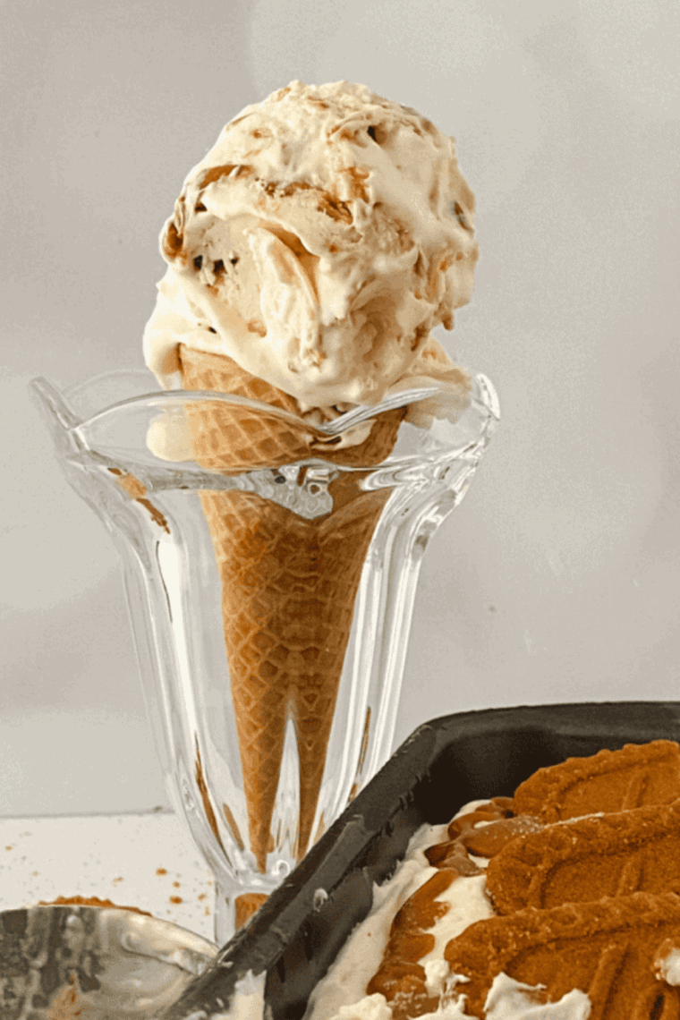 Ninja Creami cookie butter ice cream served in a bowl with creamy texture and swirls of cookie butter