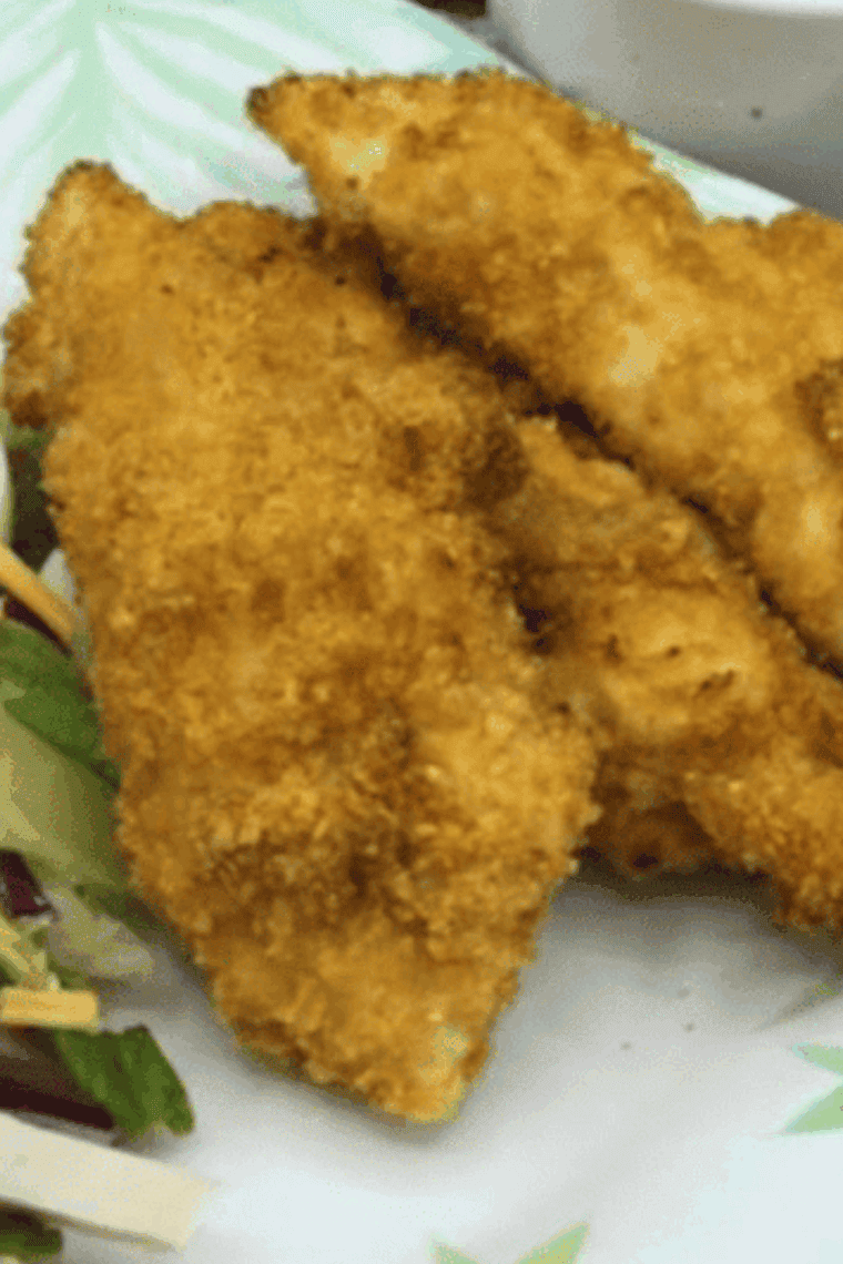 A close-up texture shot of the crispy, seasoned breading on a homemade Bojangles chicken tender.