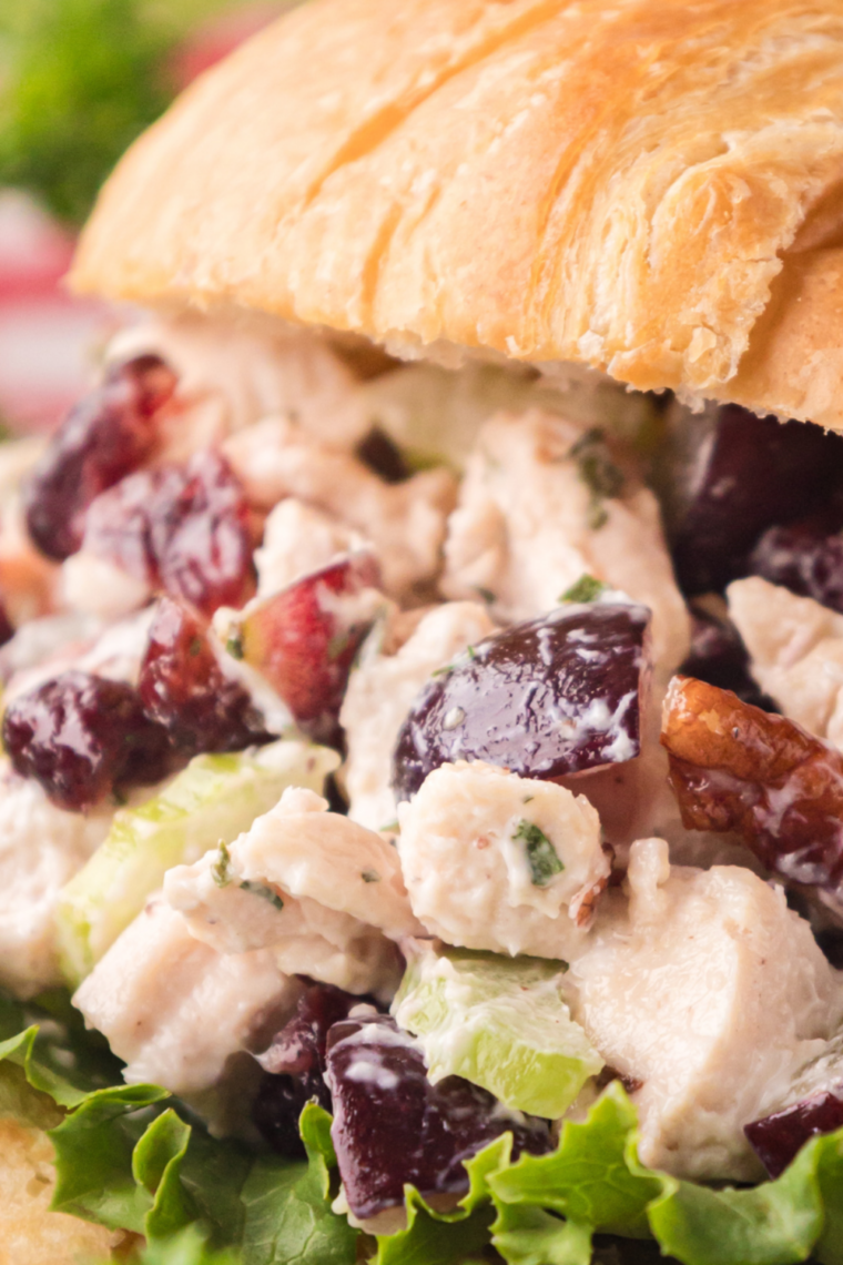Copycat Buc-ee's chicken salad in a bowl with dried cranberries, toasted pecans, celery, and green onions