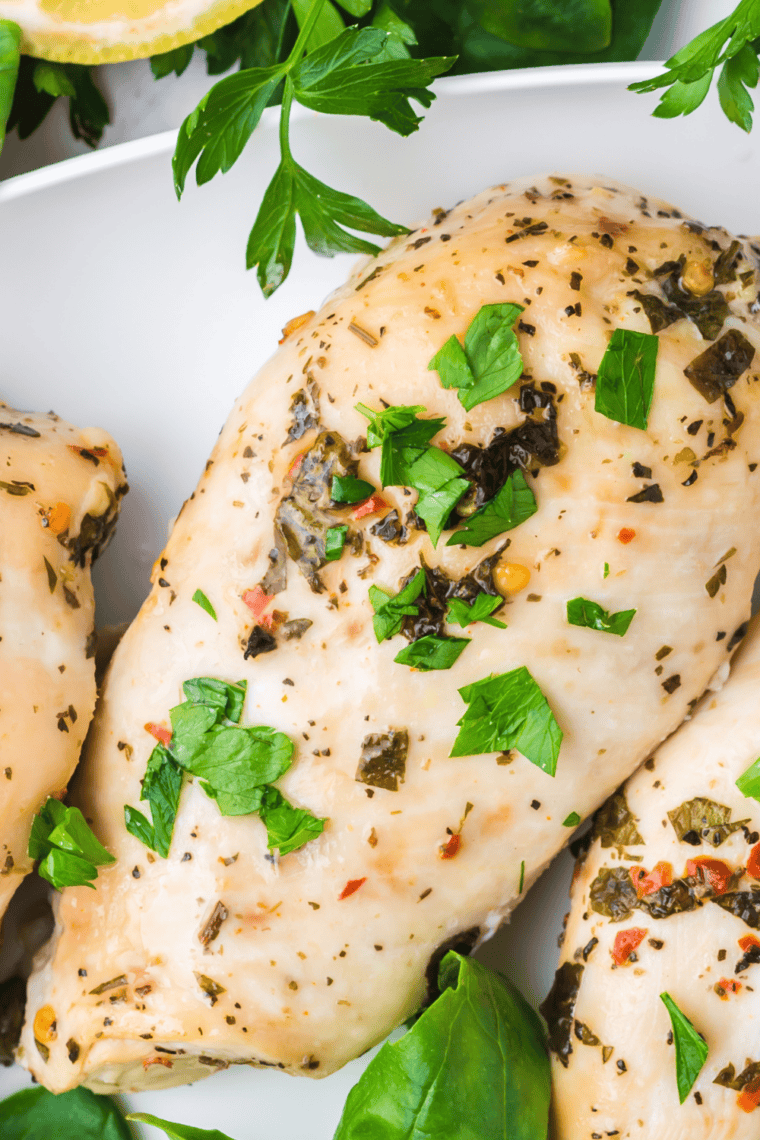 Grilled chicken panini with provolone and roasted red peppers