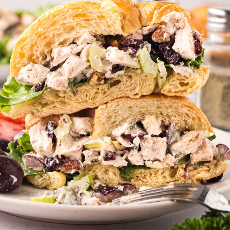 Scoop of Cranberry Kelli chicken salad with dried cranberries and slivered almonds