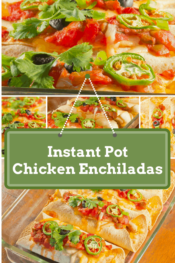 easy as 1 2 3 instant pot chicken enchiladas fork to spoon