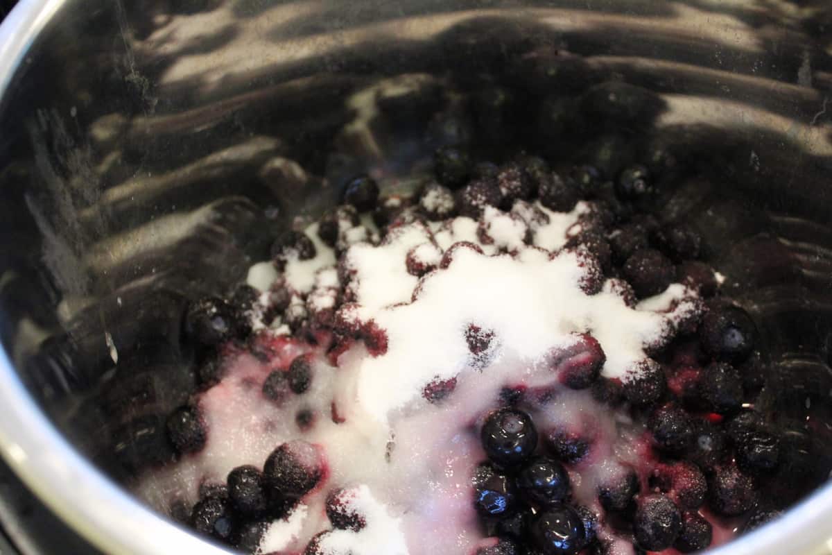 Instant Pot Blueberry Pancake Syrup