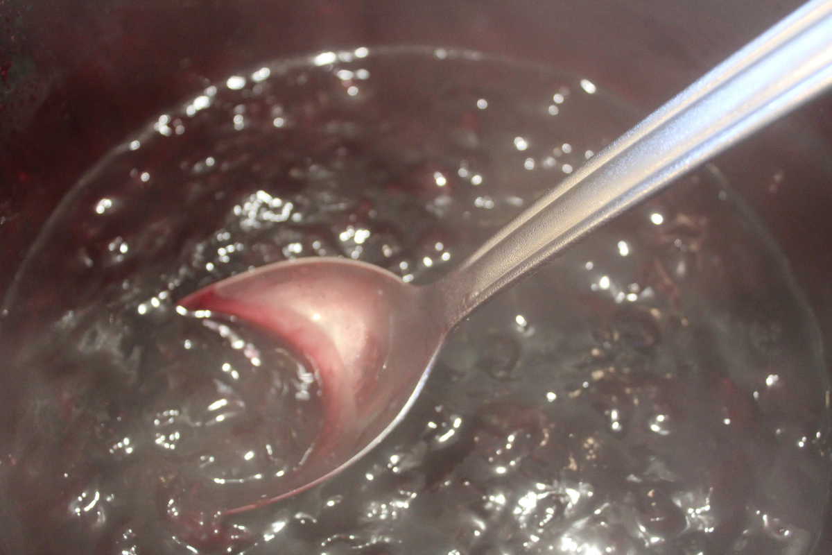 Instant Pot Blueberry Pancake Syrup