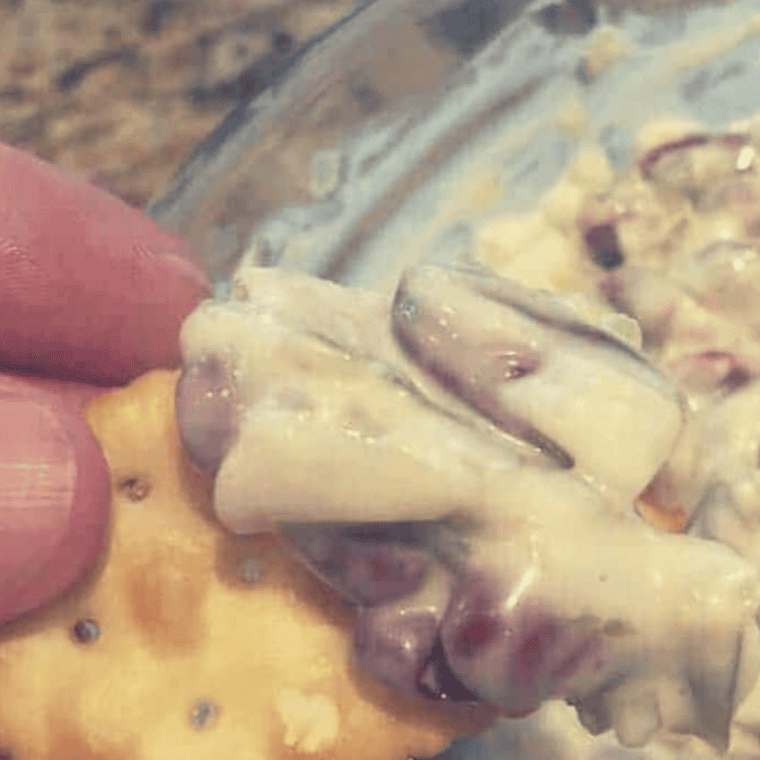 A bowl of creamy New England Bean Dip served with tortilla chips and fresh vegetables for dipping.