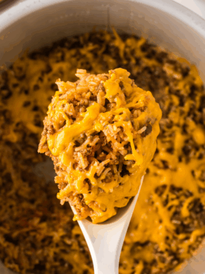 Quick & Easy Instant Pot Rice-A-Roni