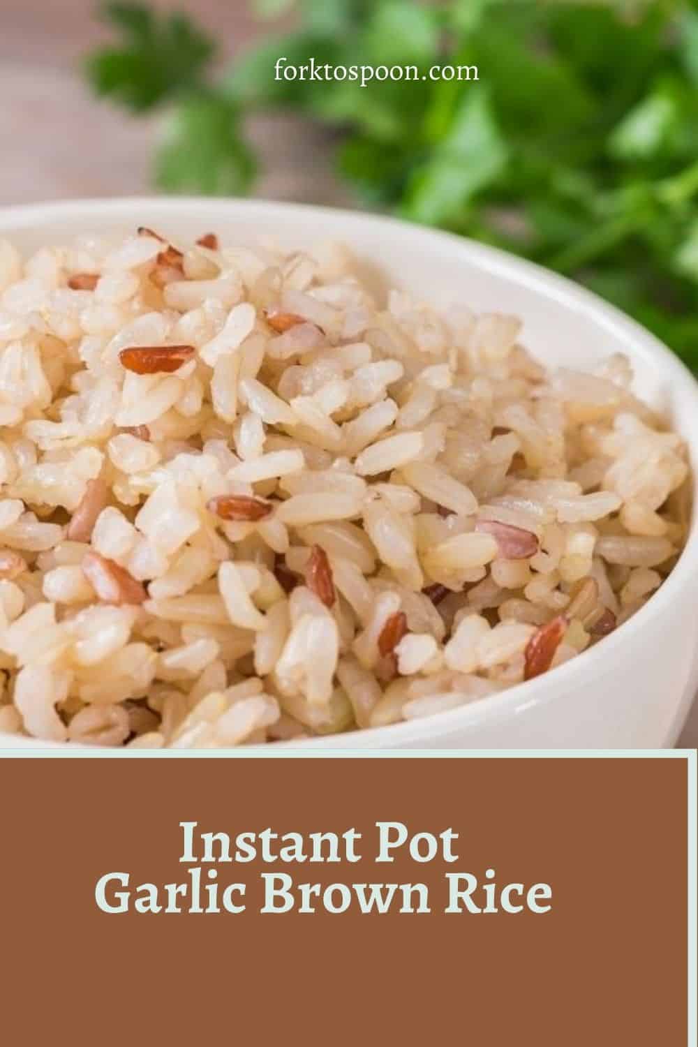 Instant Pot Garlic Brown Rice