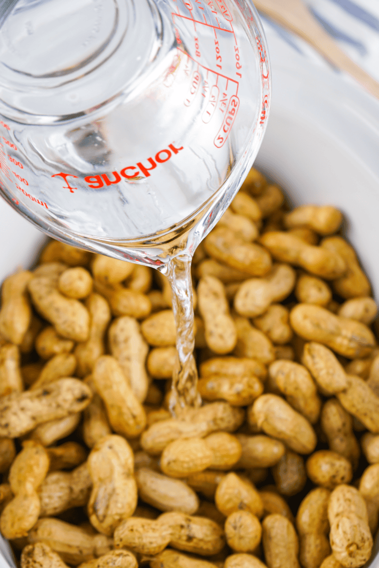 Cover with Water: Peanuts submerged in water inside slow cooker insert.