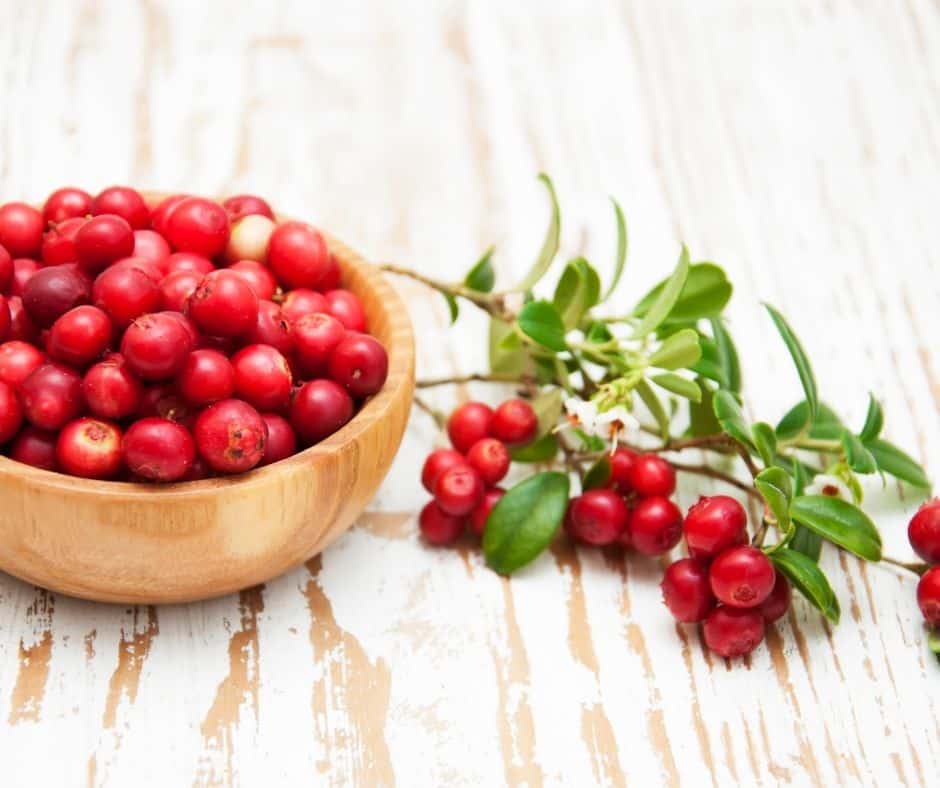 Ingredients Needed For Air Fryer Cranberry Scones