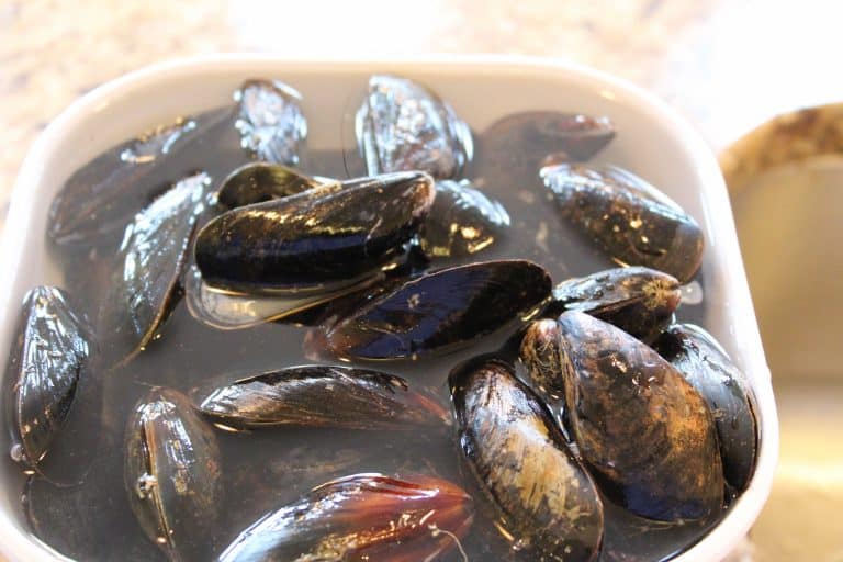 Air FryerMussels