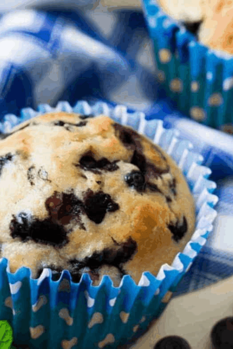 Golden-brown air fryer blueberry lemon muffins with juicy blueberries and bright lemon zest, ready to serve.