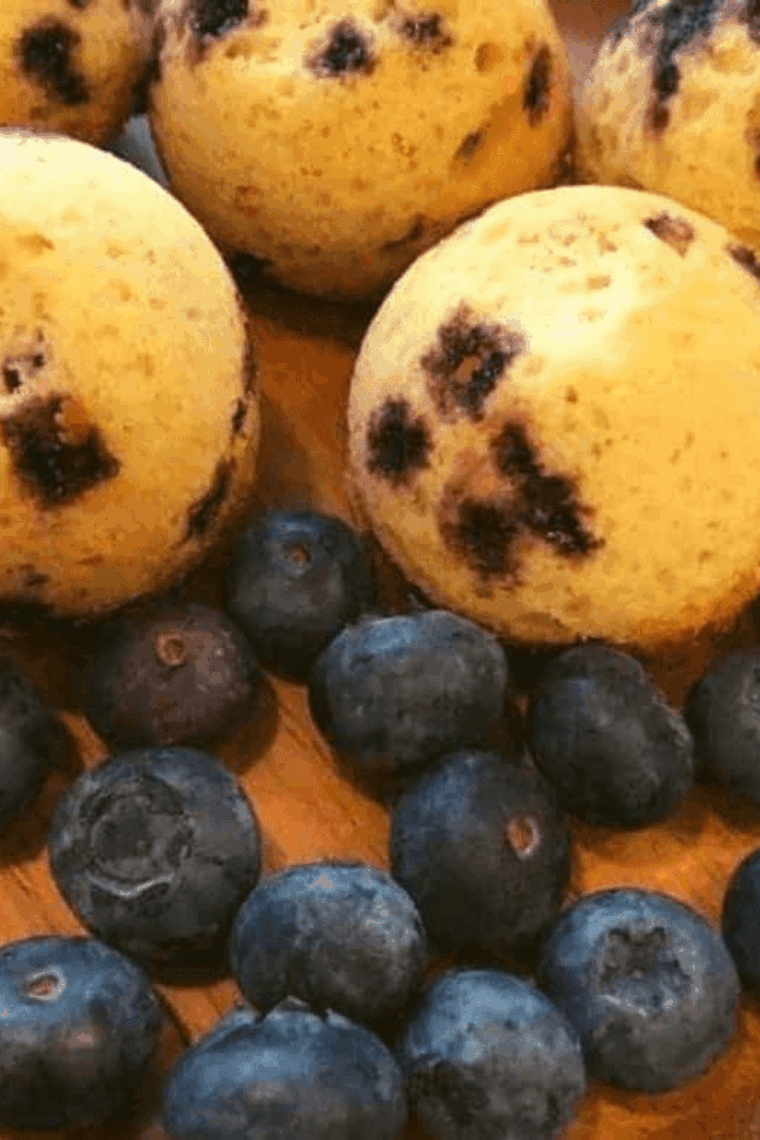 Golden, fluffy air fryer blueberry muffin bites with fresh blueberries