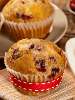 Air Fryer Cranberry Muffins