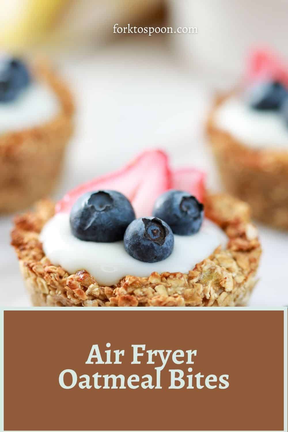 Air Fryer Oatmeal Bites