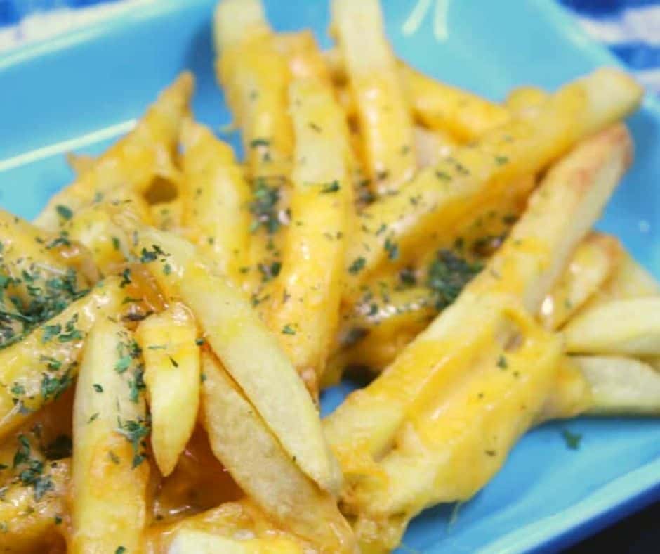 Air Fryer Cheese Fries