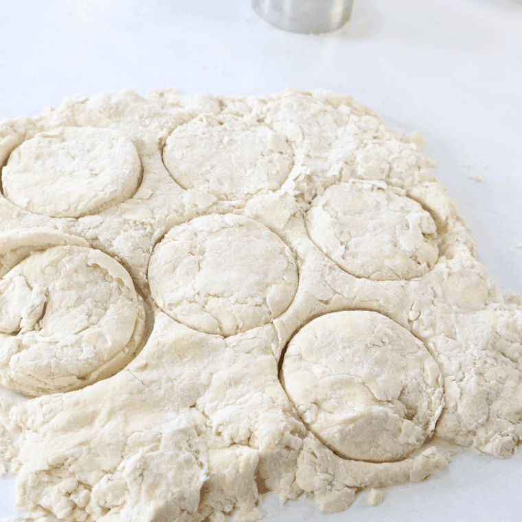 Biscuit dough patted to one-inch thickness and cut with round cutter