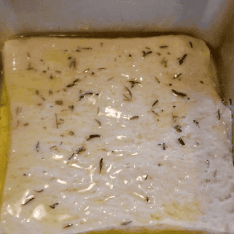 Brush the bread with olive and spices. 
