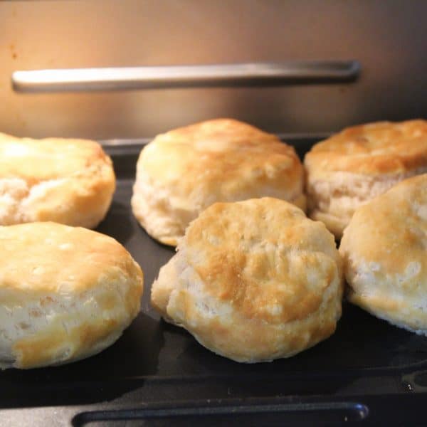 How to Make Frozen Biscuits in the Vortex Air Fryer, Instant Pot Fork