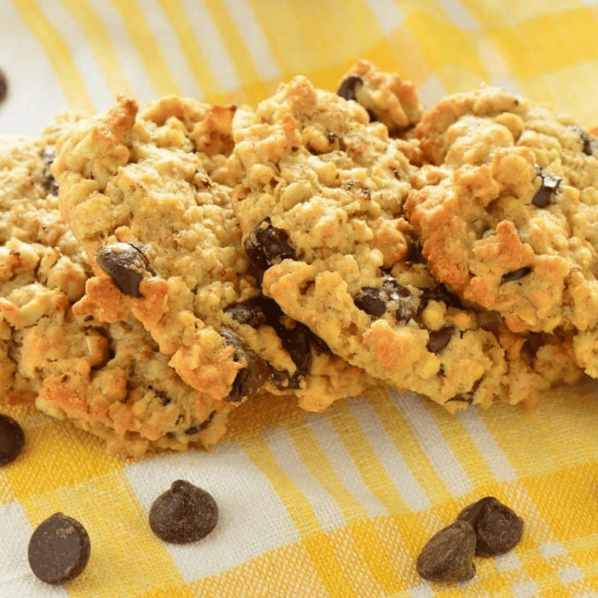 https://forktospoon.com/wp-content/uploads/2019/09/Air-Fryer-Chocolate-Chip-Oatmeal-Cookies.png