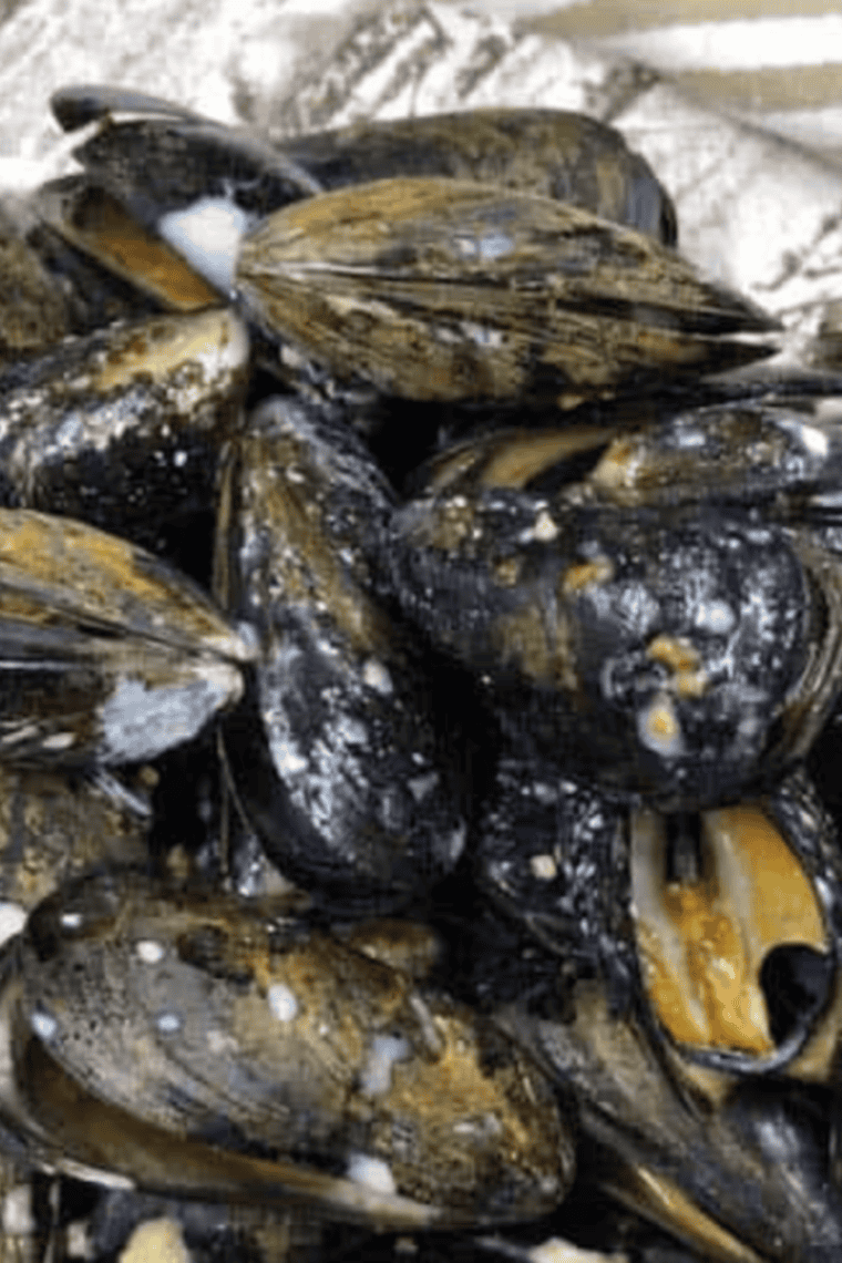 Air fryer cooking Classic French mussels in garlic butter with fresh herbs