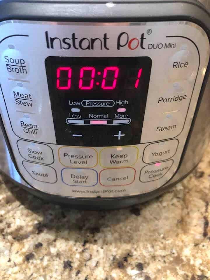 Instant Pot Broccoli and Rice