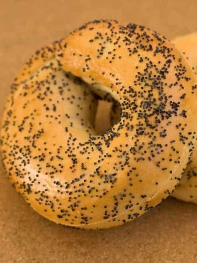 cropped-How-To-Make-Air-Fryer-Poppy-Bagels-3.jpg