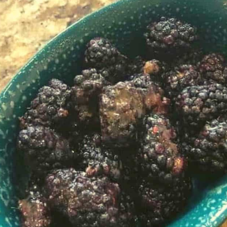 Place the blackberries on the bottom of the baking dish.