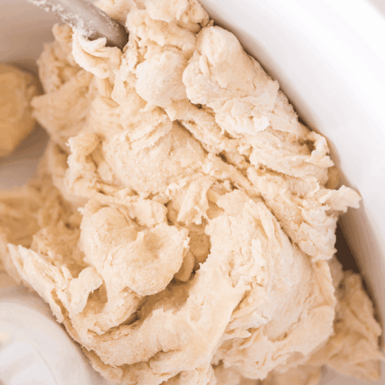 Make the Dough: Soft dough forming in a large mixing bowl.