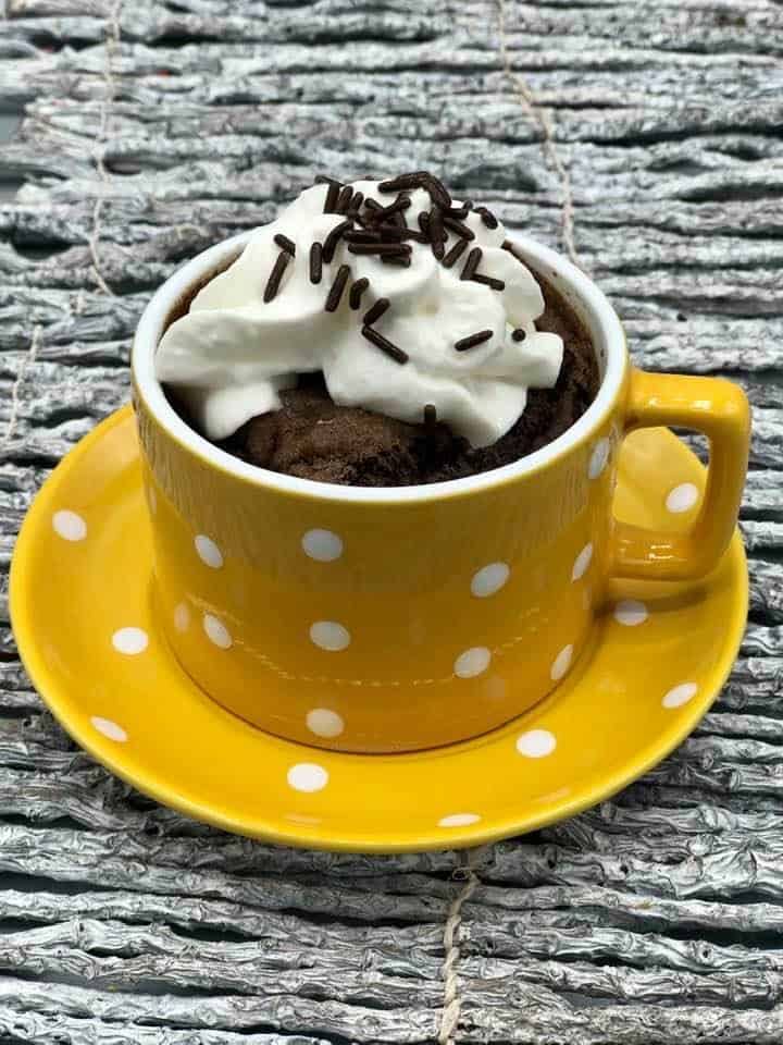 Air Fryer Chocolate Cake Mix Mug Cake Fork To Spoon 