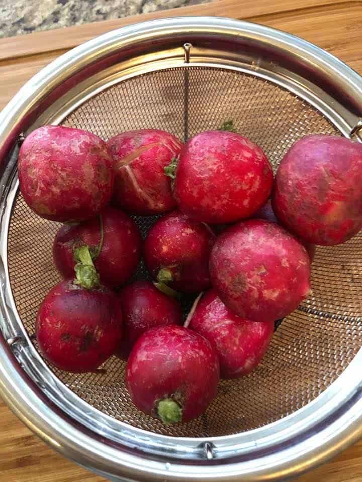 Radishes in Bowl