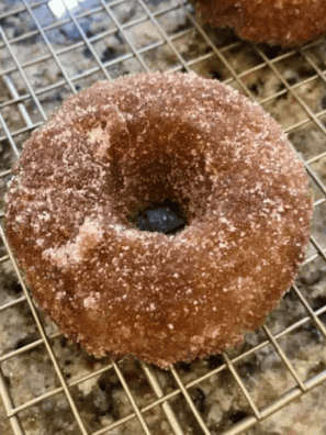 Air Fryer Homemade Cinnamon Sugar Donuts