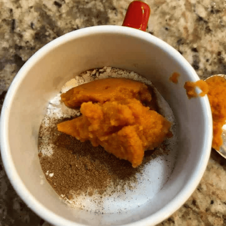 Air Fryer Pumpkin Mug Cake (2)