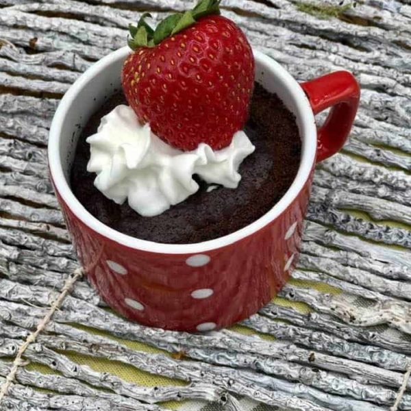 Air Fryer Eggless Chocolate Mug Cake Fork To Spoon