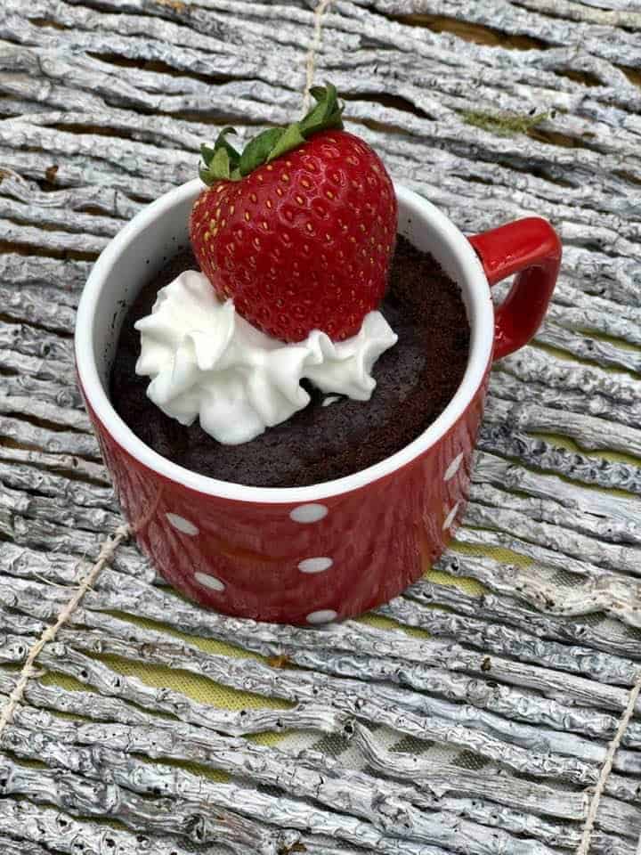 Air Fryer Eggless Chocolate Mug Cake