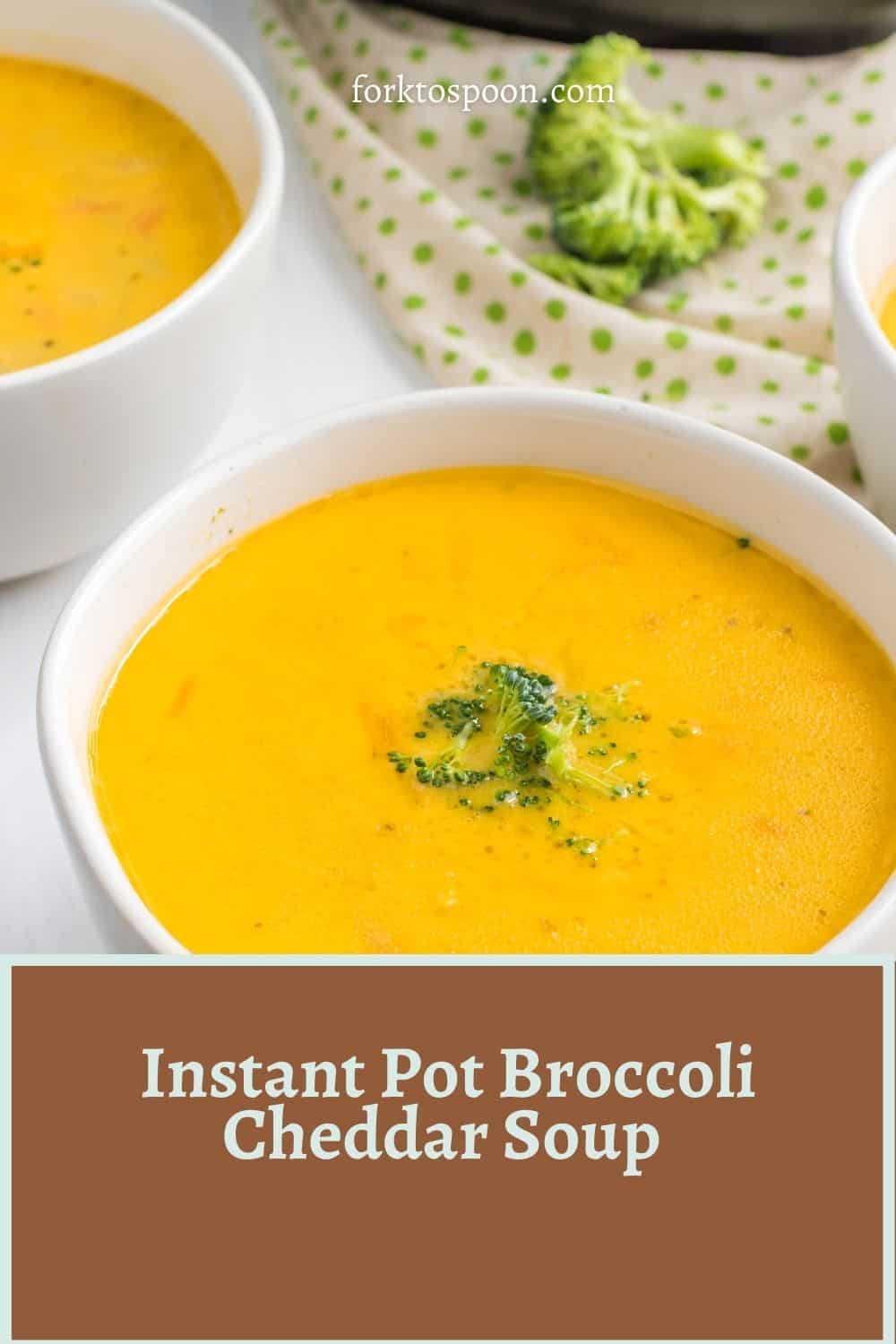 Instant Pot Broccoli Cheddar Soup 