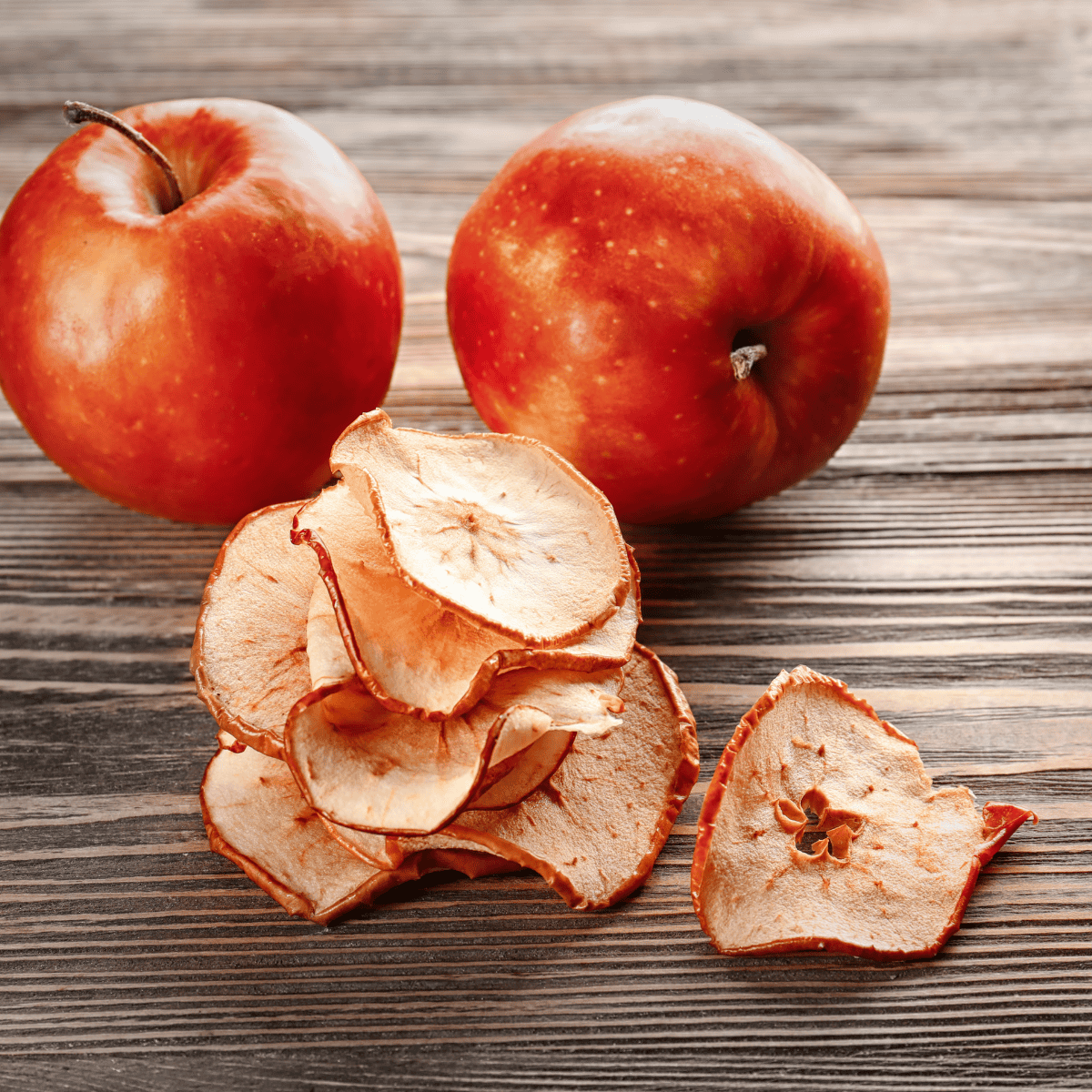 Crispy air fryer apple chips served in a bowl, seasoned with cinnamon, ready for snacking.