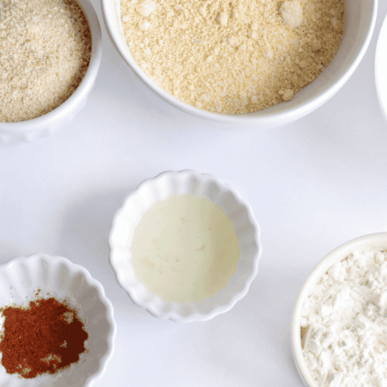 Ingredients for air fryer breaded salmon including salmon fillets, panko, parmesan, egg, and lemon